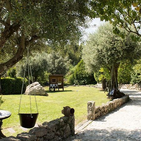 Quinta Do Meira Braga Exterior foto